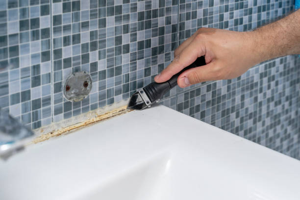 Best Bathroom Mold Remediation in Jackson, WY