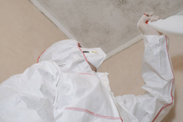 Best Crawl Space Mold Remediation in Jackson, WY