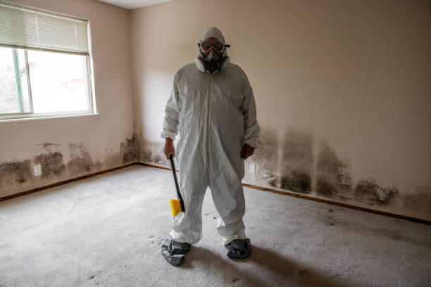 Best Industrial Mold Remediation in Jackson, WY